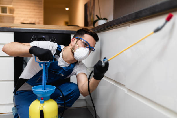 Best Wasp Removal Services  in Flourtown, PA
