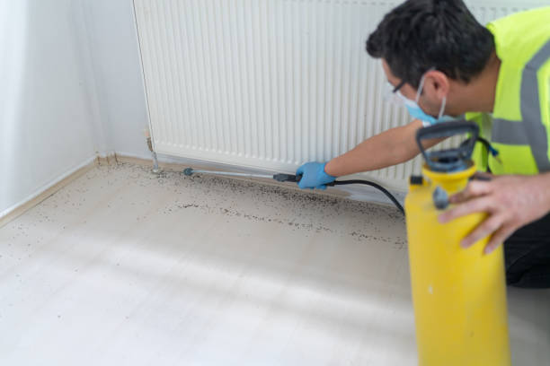 Best Residential Pest Control  in Flourtown, PA